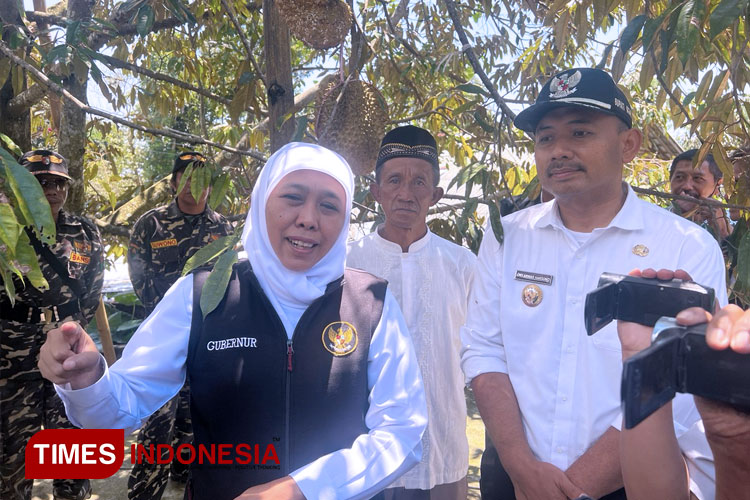 Durian Arjuna dari Ngawi Favorit Gubernur Jawa Timur