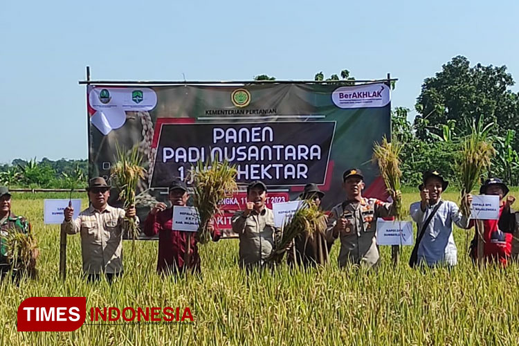 Pemkab Majalengka Pastikan Stok Gabah Dan Beras Aman Untuk Ramadan ...