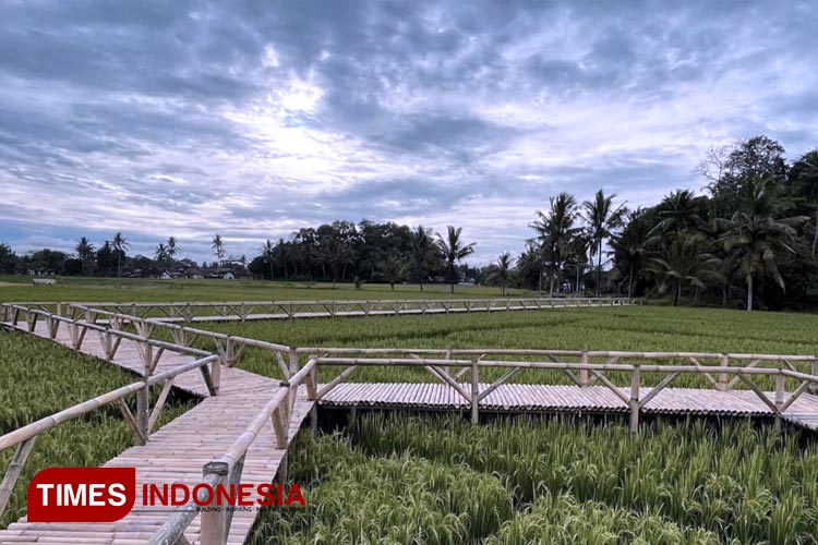 Wisata-Gumuk-Aliyan.jpg