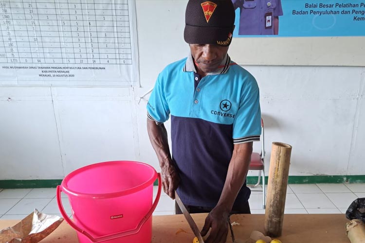 Pelatihan vokasi budidaya cabai bagi petani di Merauke, Papua. (Foto:  BBPP Ketindan for TIMES Indonesia)