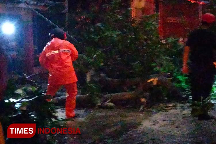 Petugas BPBD Kabupaten Madiun membersihkan pohon tumbang dari badan jalan. (Foto: BPBD Kabupaten Madiun for TIMES Indonesia)
