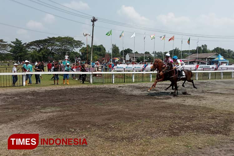 Salah satu race pada kejuaraan pacuan kuda piala tiga mahkota. (Foto: Totok Hidayat/TIMES Indonesia)