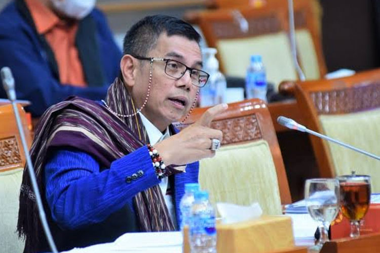 Anggota Komisi III DPR RI Hinca Pandjaitan - (FOTO: dok Fraksi Demokrat DPR RI)