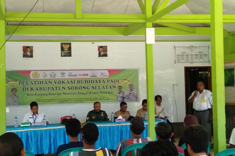 Pelatihan vokasi budidaya padi di Balai Penyuluhan Pertanian (BPP) Moswaren, Sorong Selatan, Papua Barat Daya, 15-17 Maret 2023. (Foto: BBPP Ketindan for TIMES Indonesia)