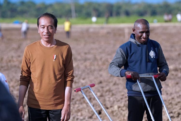 Presiden RI Jokowi saat meninjau lokasi pengembangan Food Estate di Keerom, Papua, Selasa (21/3/2023). (FOTO: Biro Komunikasi Publik Kementerian PUPR RI)
