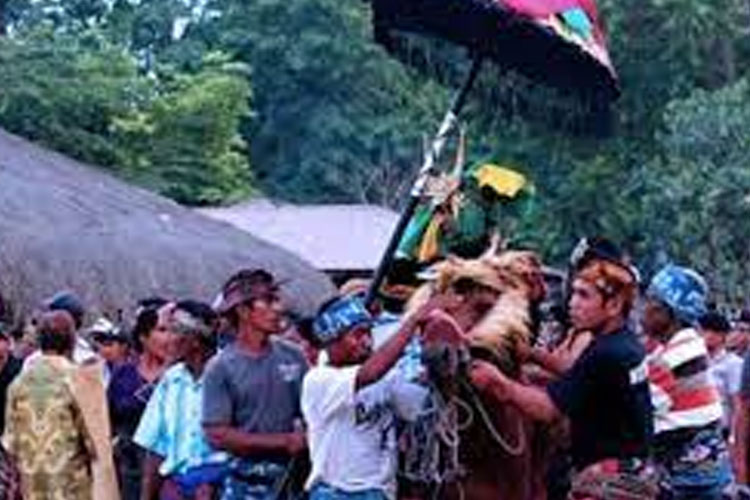 Ritual penguburan Raja budaya Sumba Timur yang suka dikunjungi wisatawan.