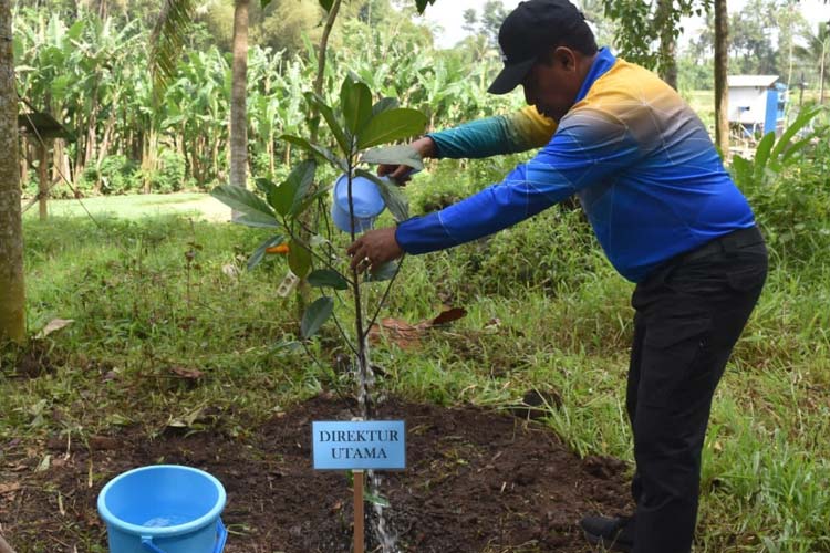 Dirut Perumda Tirta Kanjuruhan Syamsul Hadi ketika menanam pohon memperingati Hari Air se Dunia. (Foto : Humas Perumda Tirta Kanjuruhan).