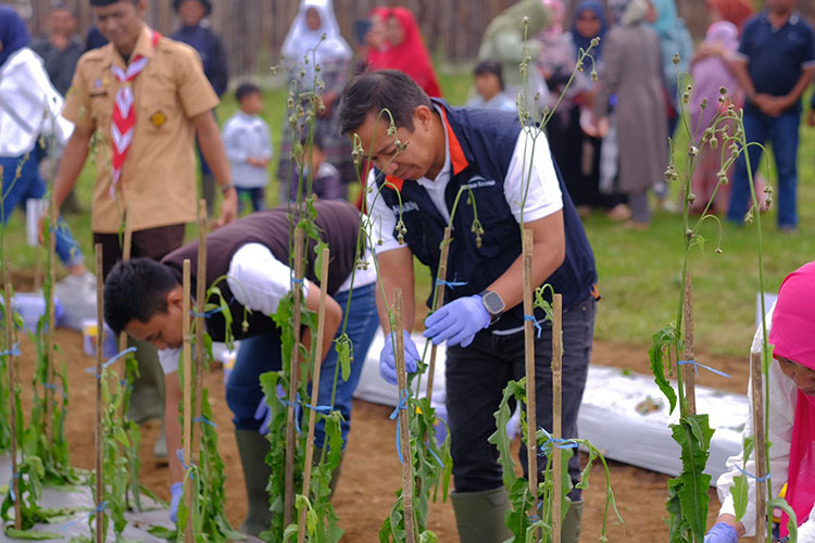 Program Bina Industri Desa Kimia Farma Sejahterakan Petani Tempuyung
