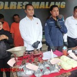Polres Malang Sita 7 Kilogram Bahan Peledak Petasan