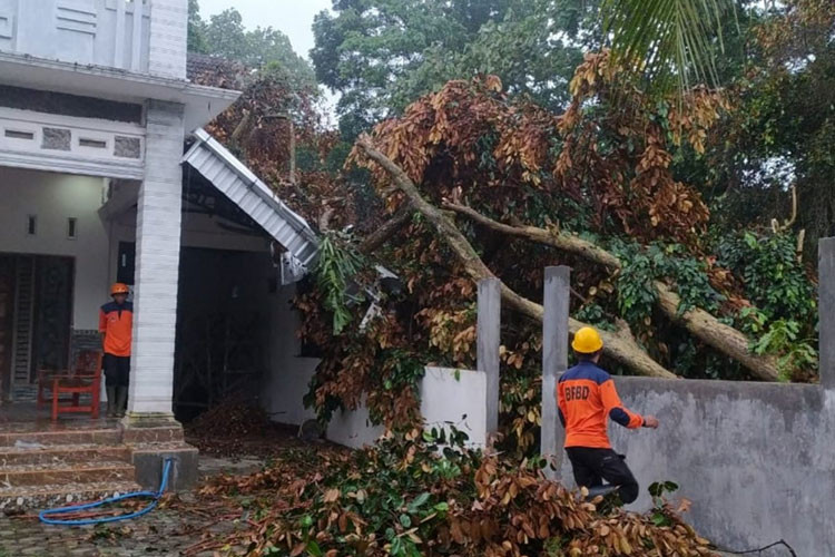 Petugas BPBD membersihkan puing pohon tumbang di Desa Sumberasri Kecamatan Nglegok Kabupaten Blitar, Selasa (28/3/2023). (Foto: Dok. BPBD Kab Blitar)
