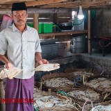 Pebisnis Ikan Jenggala Kering di Situbondo Ini Raup Omzet Puluhan Juta