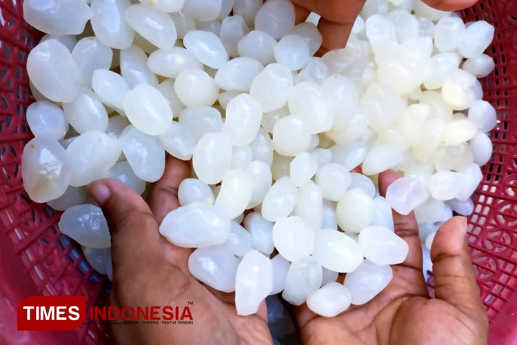 Bisnis Kolang-Kaling di Bulan Ramadan, Manfaatkan Peluang Pasar dan Tingkatkan Pendapatan