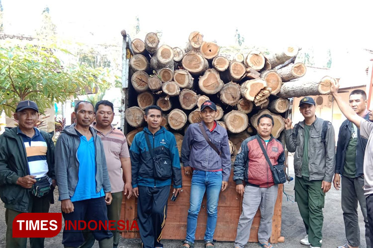Petugas gabungan Polsek Purwoharjo dan Polhutmob Perhutani KPH Banyuwangi Selatan, menggerebek kayu jati ilegal. (Foto: Syamsul Arifin/TIMES Indonesia)