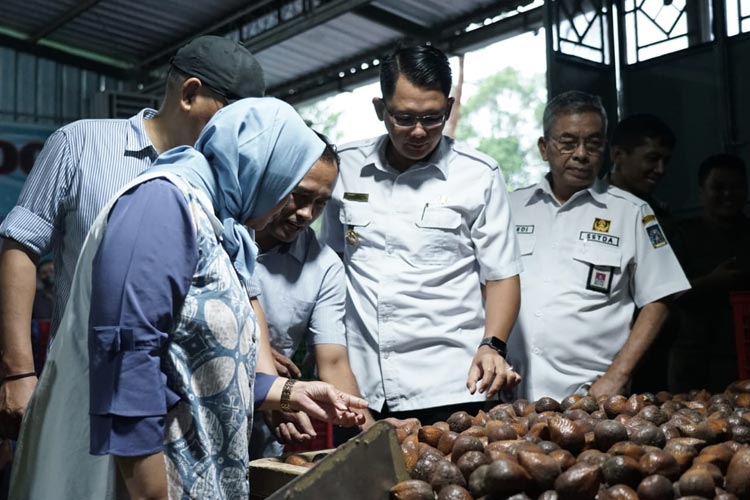 Bangun Ketahanan Pangan, Petani Salak Sleman Diminta Serius Garap Lahan