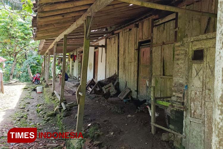 Hidup Sebatangkara, Rumah Janda Tua di Pacitan Jauh dari Kata Layak
