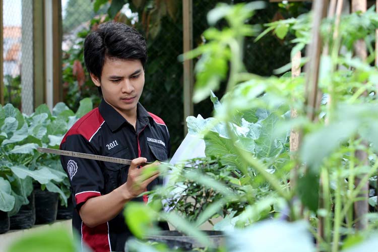 Seorang mahasiswa Fakultas Pertanian UMY ketika melakukan kegiatan praktikum di laboratorium pertanian UMY. (Foto: Humas UMY)