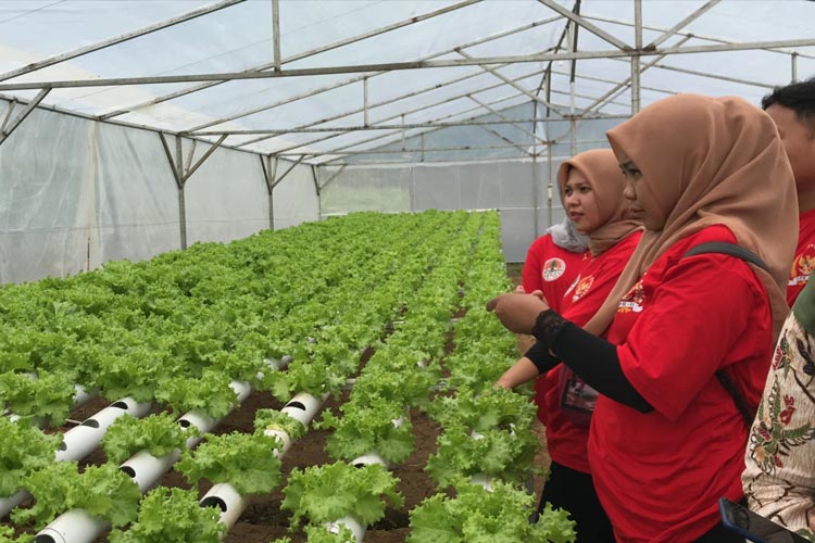Antisipasi Krisis Pangan, Bimtek Bahas Pentingnya Penerapan Smart Farming di Jombang