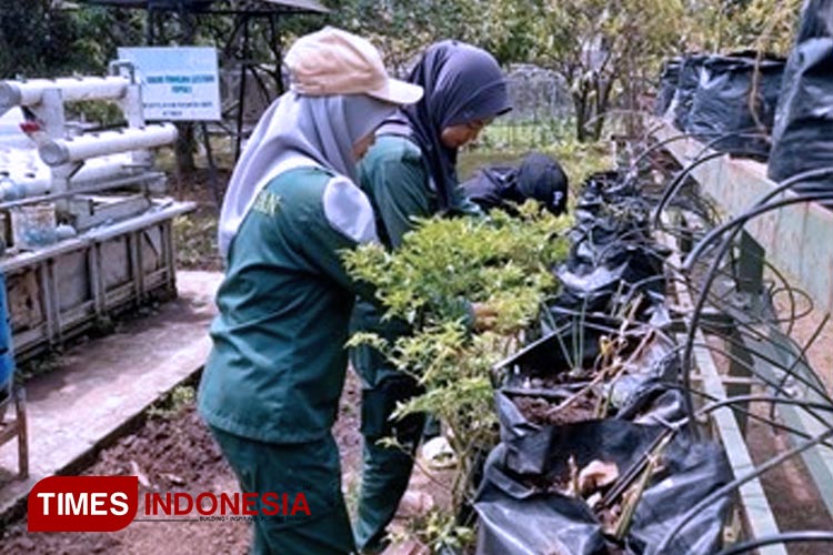 BBPP Ketindan Edukasi Masyarakat Melalui Pemanfaatan Kebun Praktik