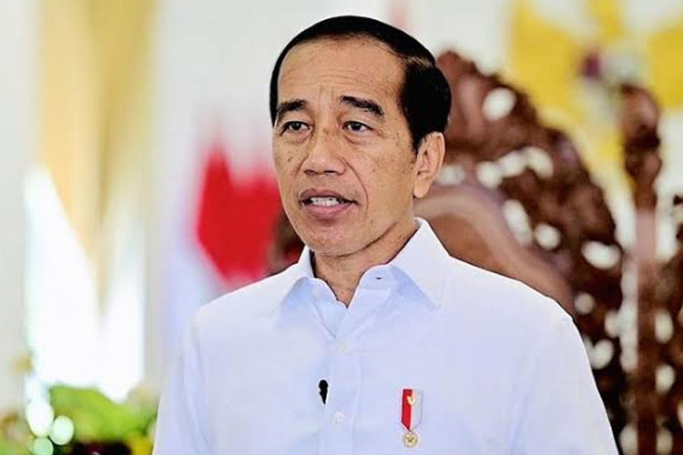 Hari Ini Jokowi Akan Cek Jalan Rusak Di Lampung Yang Sempat Viral ...