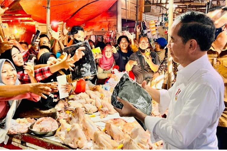 Presiden Jokowi saat meninjau harga pangan di Pasar Natar Kabupaten Lampung. (FOTO: BPMI Setpres) 