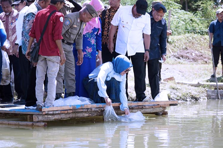 Jaga Ketahanan Pangan dan Cegah Stunting, Gubernur Maluku Lakukan Tebar Benih Ikan