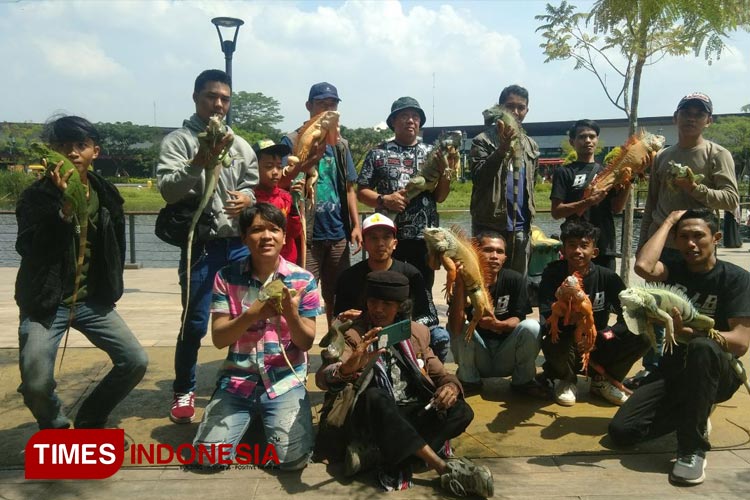 Komunitas Pecinta Iguana Bandung Sukses Hibur Masyarakat