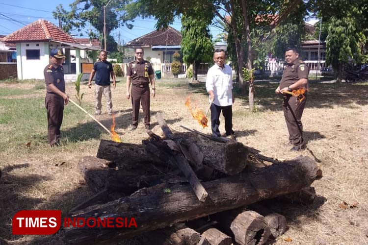 Kejaksaan Banyuwangi Bakar Barang Bukti Kayu Ilegal Logging Perhutani
