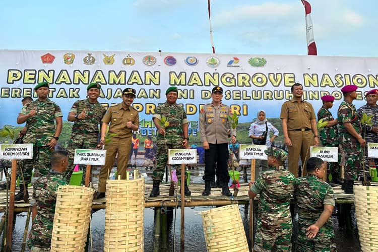 Tanam-Mangrove-a.jpg