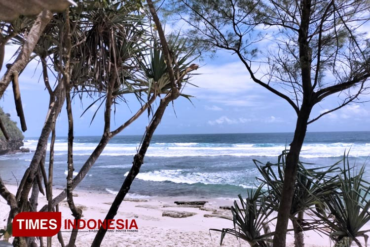The Pasetran Gondo Mayit beach, Blitar (PHOTO: Nur Al Ana/TIMES Indonesia)