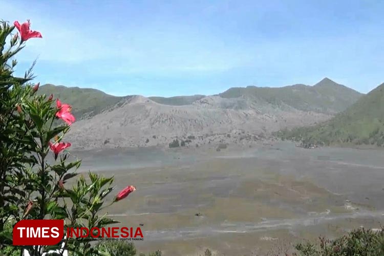 Tampak dari kejauhan kawah wisata Gunung Bromo di Kabupaten Probolinggo.(Foto: Dicko W/TIMES Indonesia) 