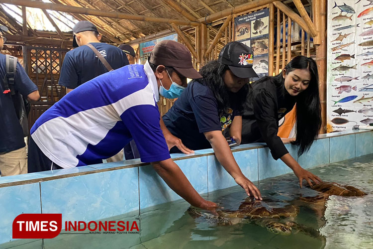 Anggota Pokmaswas/KUB memberikan penjelasan kepada pengunjung tentang konservasi Penyu di Pantai Cemara Banyuwangi. (FOTO: Anggara Cahya/TIMES Indonesia)