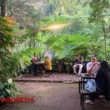 Pinus Café, Tempat Ngopi di Tengah Hutan Pinus 12 Hektare