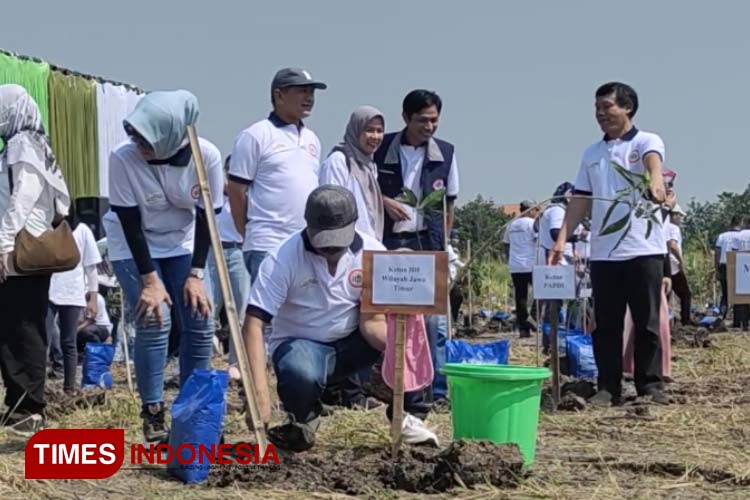 Tangani Stunting, IDI Jatim Kolaborasi dengan Pemkab Lamongan Tanam Pohon Produktif