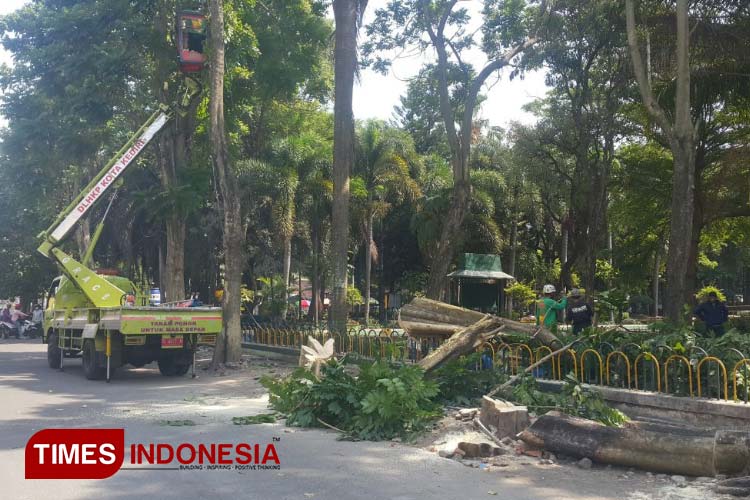 Petugas DLHKP diantara pepohonan Alun-alun Kota Kediri (foto: Yobby L A Putra/TIMES Indonesia) 