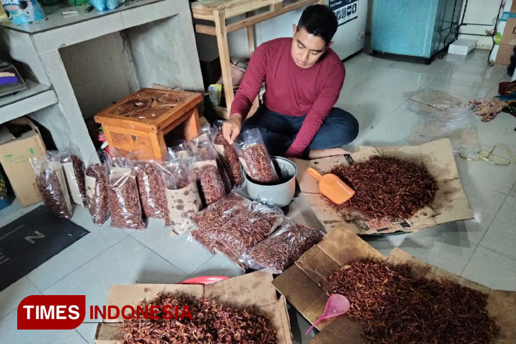 Proses pengolahan Belalang menjadi olahan nikmat Belalang Goreng ala warga Situbondo, Indah Wiyatin Nisa. (Foto: Miftahorrahman/TIMES Indonesia)