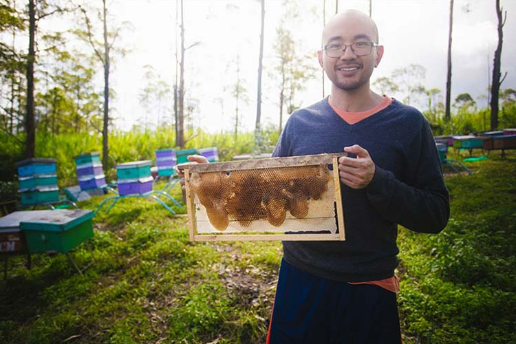 Ilmuwan Lulusan S3 Luar Negeri, Felix Zulhendri Memilih Jadi Peternak Lebah