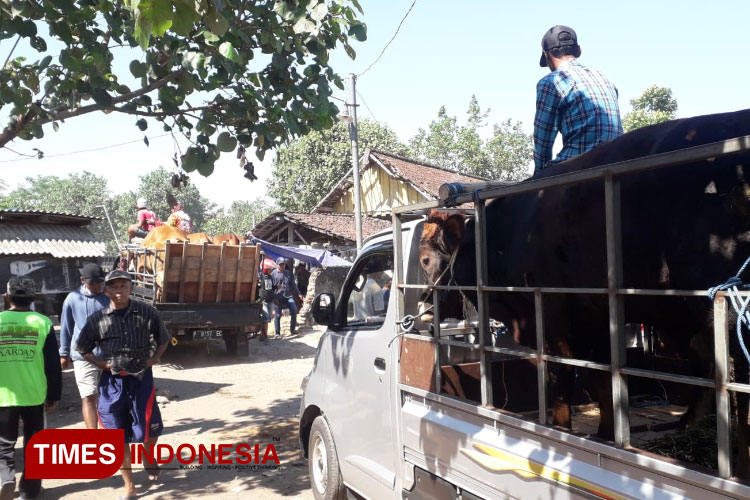 Warga Bondowoso Diminta Waspada Penyakit Ternak Jelang Idul Adha