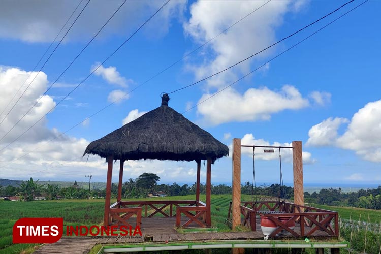hijau-persawahan-2.jpg