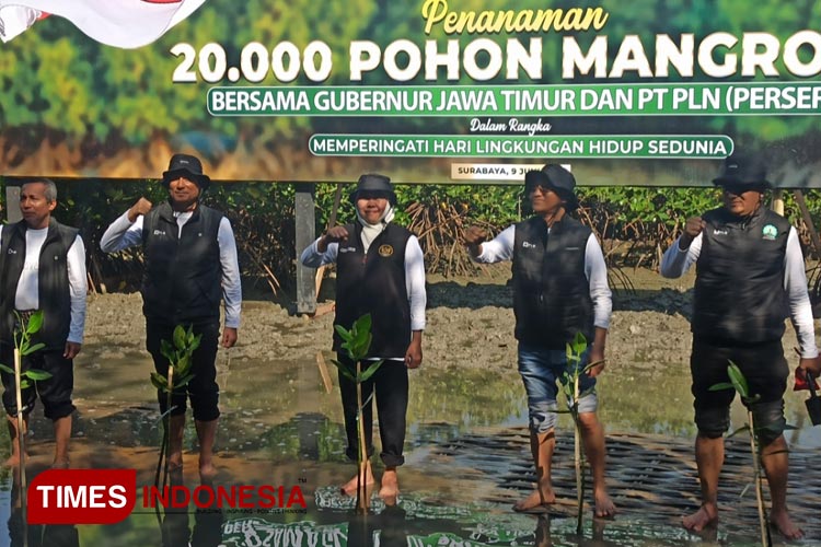Tanam 20 Ribu Mangrove Bersama PLN, Gubernur Khofifah Gaungkan Salam Lestari