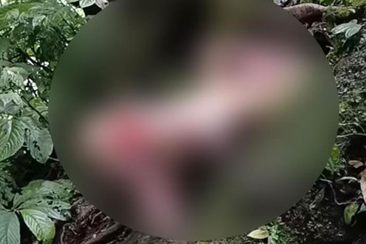 Pria berkostum BDSM yang terekam oleh wisatawan Coban Glotak. (Foto: Tangkapan Layar)