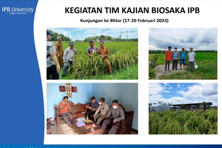 Tim IPB: Biosaka Harus Disertai Pupuk Organik, Anorganik, Hayati untuk Menjaga Ketersediaan Hara Tanah