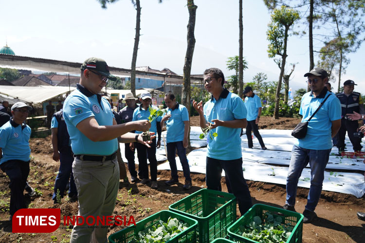 Pj Wali Kota Batu, Aries Agung Paewai SSTP MM saat Penanaman demoplot komoditas brokoli yang dilaksanakan Forum P4S di Batu Edo Park Dusun Wonorejo, Desa Tulungrejo. (Foto: Muhammad Dhani Rahman/TIMES Indonesia)