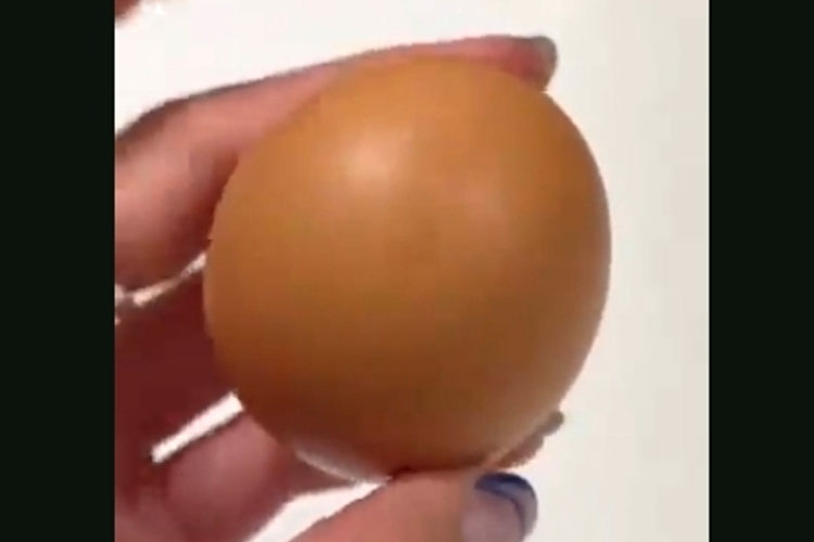 Telur bulat sempurna yang harganya bisa miliaran rupiah ditemukan pembelanja di Australia.(FOTO: The Sun)