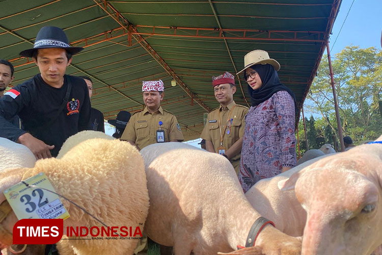Bupati Banyuwangi, Ipuk Fiestiandani Azwar Anas, pada saat meninjau kegiatan Banyuwangi Live Stock Contest 2023 di RTH Kedayunan, Kecamatan Kabat. (FOTO: Fazar Dimas/TIMES Indonesia)