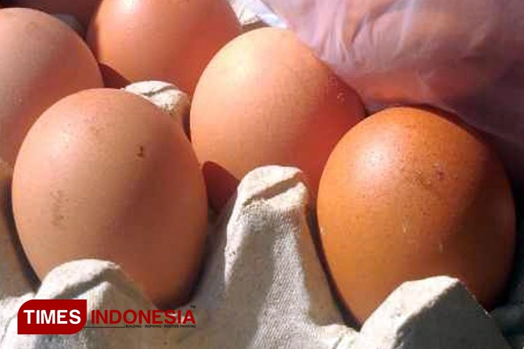 Telur Ayam Ras Penyumbang Terbesar Inflasi Kota Kediri di Bulan Mei