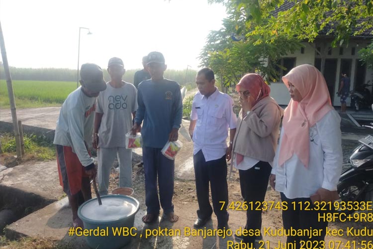 Gerakan Pengendalian WBC, Poktan Banjarejo Desa Kudubanjar Kec. Kudu, Kabupaten Jombang. (FOTO: ICMI Jombang for TIMES Indonesia)