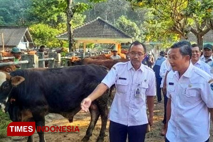 Jelang Idul Adha 1444 H, Bupati Pacitan Dorong Peternak Jaga Kesehatan Hewan
