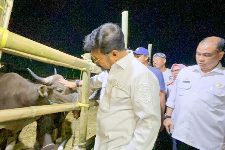 Jelang Idul Adha, Mentan SYL Siapkan 3,2 juta Hewan Qurban di Seluruh Indonesia