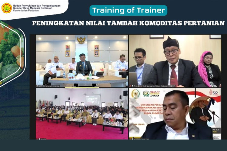 Tingkatkan Nilai Tambah Komoditas Pertanian Menghadapi El Nino, Kementan Ri Gelar Training of Trainer