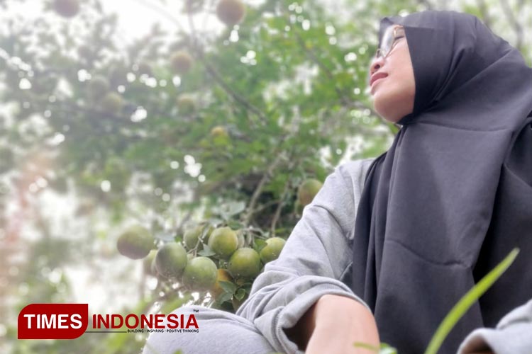 Pengunjung menikmati rimbunnya pohon jeruk yang berbuah di Wisata Petik Jeru Petungsewu, Malang. (Foto: Khodijah Siti/TIMES Indonesia)